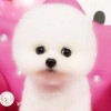 湖南网友14430