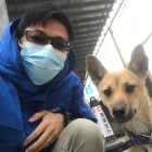 QQ头像