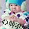 吉林网友84948
