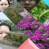 广东网友65605