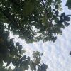 台湾网友54365