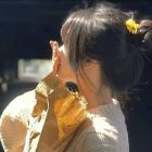 QQ头像