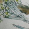 湖南网友50275