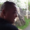 河南网友58647