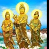 河北网友49296