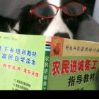 QQ头像