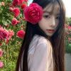 江苏网友49196