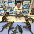 QQ头像