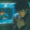 dianjimao的头像-无忧免费游戏网