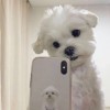 湖北网友92829