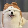北京网友77887