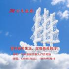QQ头像
