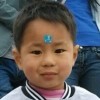 山东网友49562