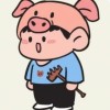 甘肃网友64746