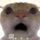 QQ头像