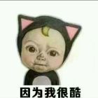 QQ头像