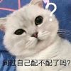 香港网友92793