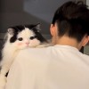网友昵称：zblog网站模板