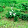 湖南网友74135