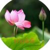 陕西网友74762