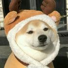 QQ头像