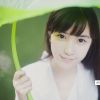 网友昵称：林龙博客