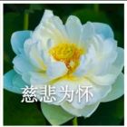 QQ头像
