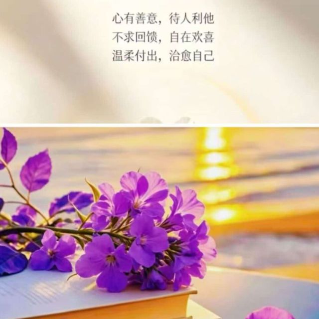 QQ邮箱头像