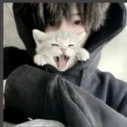 QQ头像