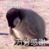 评论头像