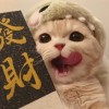 评论头像