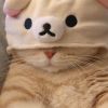 云南网友83421