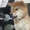 海南网友62488