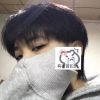 老猫