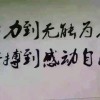 河南网友96115