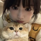 QQ头像