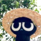 QQ头像