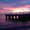青海网友21797
