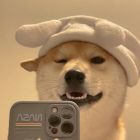 QQ头像
