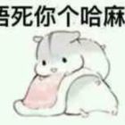 QQ头像