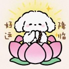 QQ头像