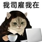 QQ头像