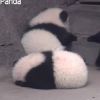 pengbo666的头像-无忧免费游戏网