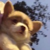 whj001229的头像-无忧免费游戏网