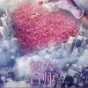 吉林网友26004