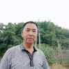 广西网友95306