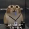 评论头像