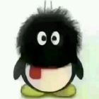 QQ头像