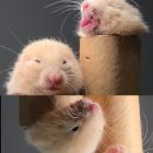 QQ头像