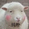 评论头像